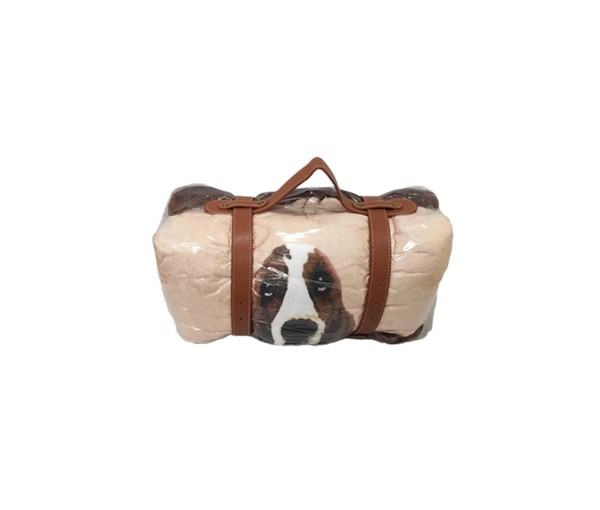 AG-0616 雙層法蘭絨毯 法蘭絨毯 禮贈品