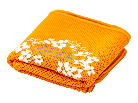 AB-0928 涼感運動巾